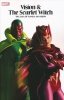 VISION AND THE SCARLET WITCH THE SAGA OF WANDA AND VISION TP [9781302928643]